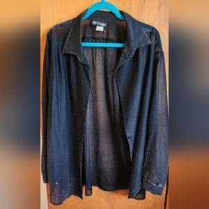 Sheer Sparkly Button Up Blouse